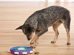 Nina Ottosson Hundespielzeug Level 3 Dog Twister -Hundebedarf 1002184 Product