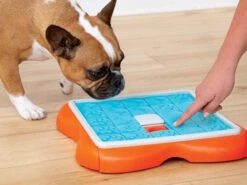 Nina Ottosson Hundespielzeug Level 3 Challenge Slider -Hundebedarf 1004191 Product
