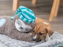 Trixie Junior Herzschlag Plüsch-Faultier Für Welpen 17 Trixie Junior Herzschlag Plüsch-Faultier Für Welpen -Hundebedarf 1012601 Product