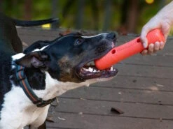 Dexas Off Leash Tumbler Dummy Für Hunde -Hundebedarf 1014968 Product