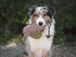 Duck Dummy Ente Mit Kunstfell -Hundebedarf 1022881 Product