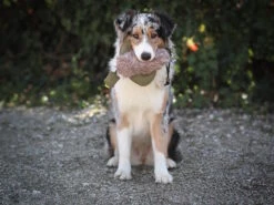 Duck Dummy Ente Mit Kunstfell -Hundebedarf 1022882 Product