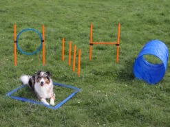 Agility Starter Set X