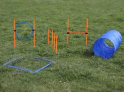 Agility Starter Set X -Hundebedarf 1026253 Product