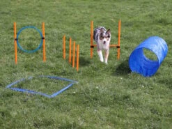 Agility Starter Set X -Hundebedarf 1026254 Product
