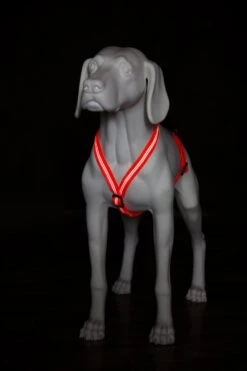 Feltmann Mantrailing Suchgeschirr Basic -Hundebedarf 1030651 Product