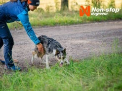 Non-Stop Dogwear Hundegeschirr Line Harness 5.0 Schwarz -Hundebedarf 1033732 Product