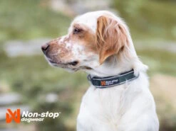 Non-Stop Dogwear Hundehalsband Roam Collar Blau -Hundebedarf 1036190 Product