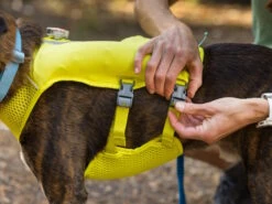 Ruffwear Trail Runner™ Hunde-Laufweste Lichen Green -Hundebedarf 1048021 Product