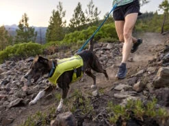 Ruffwear Trail Runner™ Hunde-Laufweste Lichen Green -Hundebedarf 1048025 Product