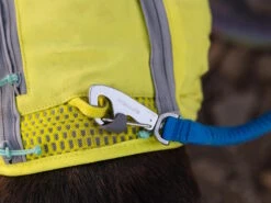 Ruffwear Trail Runner™ Dehnbare Hundeleine Blue Pool 11 Ruffwear Trail Runner™ Dehnbare Hundeleine Blue Pool -Hundebedarf 1049092 Product