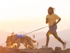 Ruffwear Trail Runner™ Dehnbare Hundeleine Blue Pool 12 Ruffwear Trail Runner™ Dehnbare Hundeleine Blue Pool -Hundebedarf 1049093 Product