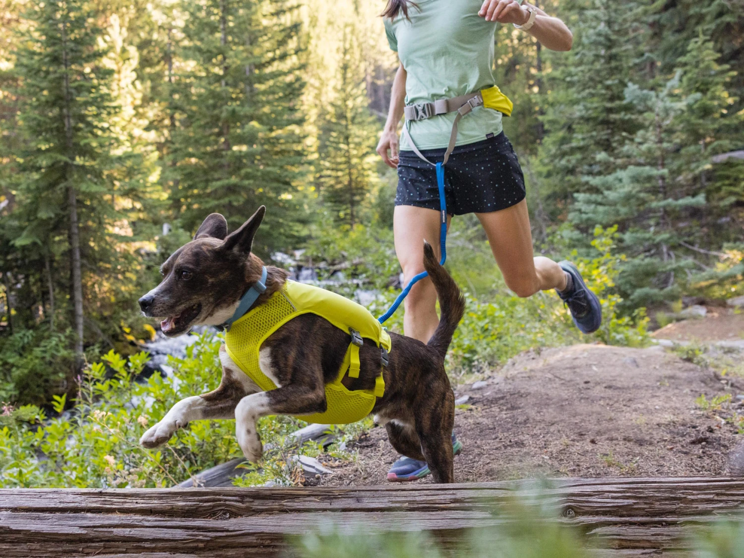 Ruffwear Trail Runner™ Dehnbare Hundeleine Blue Pool 7 Ruffwear Trail Runner™ Dehnbare Hundeleine Blue Pool – Bild 7