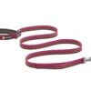 Ruffwear Flat Out™ Hundeleine Wildflower Horizon
