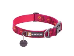 Ruffwear Flat Out™ Hundehalsband Alpenglow Burst