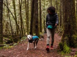 Ruffwear® Climate Changer™ Pullover Für Hunde Glacier 13 Ruffwear® Climate Changer™ Pullover Für Hunde Glacier -Hundebedarf 1058872 Product