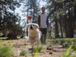 Ruffwear Huckama™ Wurfspielzeug Für Hunde 8 Ruffwear Huckama™ Wurfspielzeug Für Hunde -Hundebedarf 1059655 Product