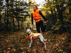 Ruffwear Lumenglow Reflektierende Weste Für Hunde Blaze Orange 13 Ruffwear Lumenglow Reflektierende Weste Für Hunde Blaze Orange -Hundebedarf 1062060 Product