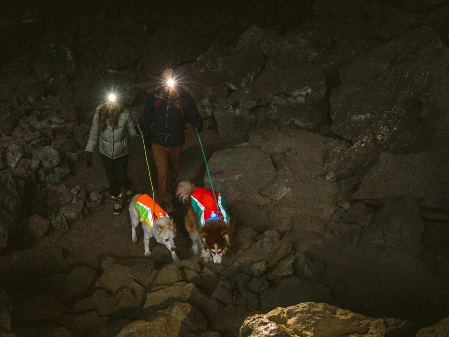 Ruffwear Lumenglow Reflektierende Weste Für Hunde Blaze Orange 7 Ruffwear Lumenglow Reflektierende Weste Für Hunde Blaze Orange – Bild 7