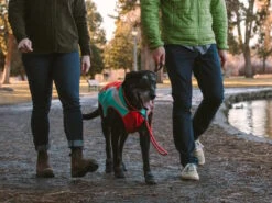 Ruffwear Lumenglow Reflektierende Weste Für Hunde Red Sumac -Hundebedarf 1062690 Product