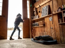 Ruffwear Overcoat™ Gefütterte Allwetter-Hundejacke Slate Blue 10 Ruffwear Overcoat™ Gefütterte Allwetter-Hundejacke Slate Blue -Hundebedarf 1063244 Product