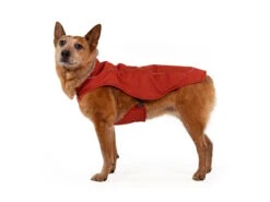 Ruffwear Overcoat™ Gefütterte Allwetter-Hundejacke Red Clay -Hundebedarf 1063580 Product