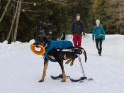 Ruffwear Quinzee™ Winter Hundejacke Blue Moon 14 Ruffwear Quinzee™ Winter Hundejacke Blue Moon -Hundebedarf 1063920 Product