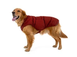 Ruffwear Quinzee™ Winter Hundejacke Fired Brick -Hundebedarf 1064367 Product