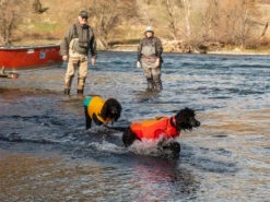 Ruffwear Undercoat™ Hunde-Neoprenanzug Campfire Orange -Hundebedarf 1066053 Product