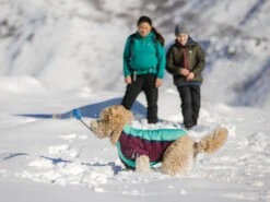 Ruffwear Powder Hound™ Winterjacke Für Hunde Aurora Teal 9 Ruffwear Powder Hound™ Winterjacke Für Hunde Aurora Teal -Hundebedarf 1071623 Product