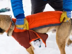 Ruffwear Powder Hound™ Winterjacke Für Hunde Persimmon Orange 12 Ruffwear Powder Hound™ Winterjacke Für Hunde Persimmon Orange -Hundebedarf 1071882 Product