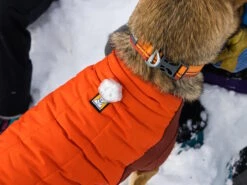 Ruffwear Powder Hound™ Winterjacke Für Hunde Persimmon Orange 13 Ruffwear Powder Hound™ Winterjacke Für Hunde Persimmon Orange -Hundebedarf 1071883 Product