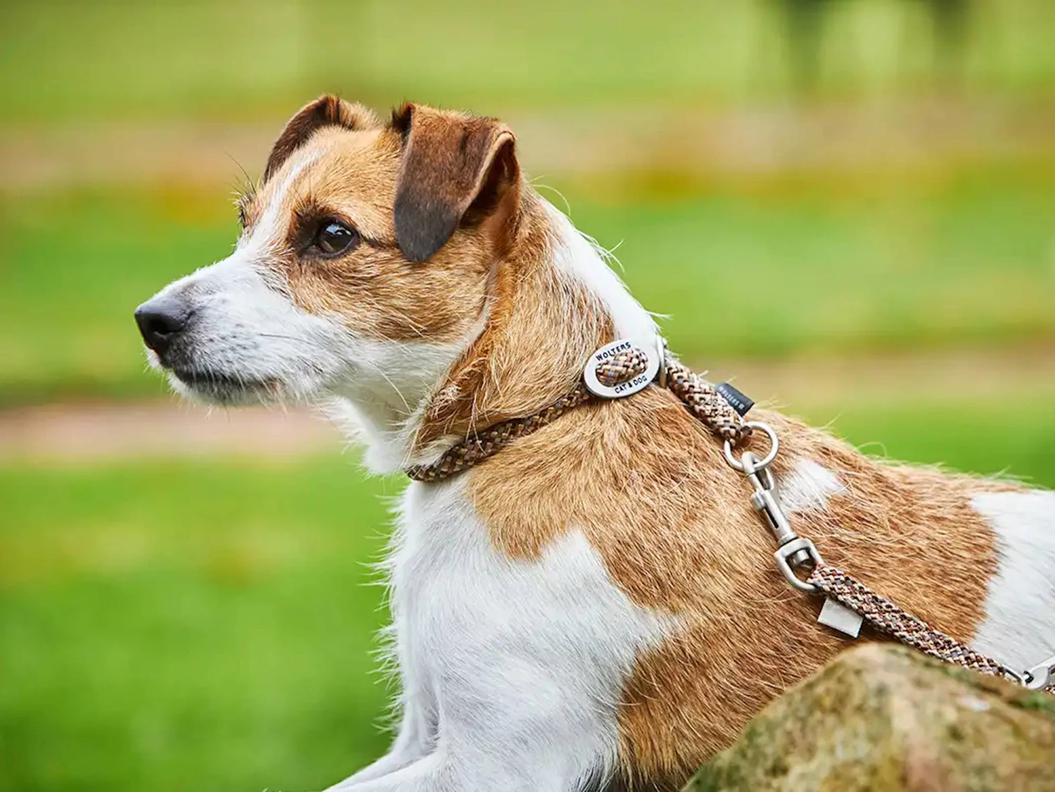 Wolters Everest Schlupfhalsband Reflektierend Tabac/sand 2 Wolters Everest Schlupfhalsband Reflektierend Tabac/sand – Bild 2