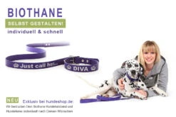 Relaxoo Biothane Hundehalsband Dunkelblau 19mm Breit -Hundebedarf 154215 Product