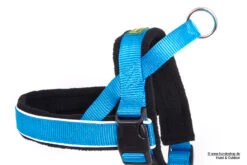 Hunter Norwegergeschirr Racing Gepolstert Petrol/schwarz -Hundebedarf 163954 Product