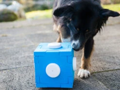 Schnüffel CUBE -Hundebedarf 177956 Product