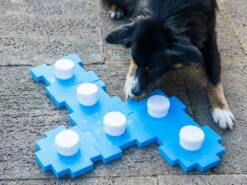 Schnüffel CUBE -Hundebedarf 177958 Product