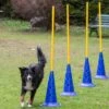 Dog Agility Slalomstange Mit Stand-Pylone