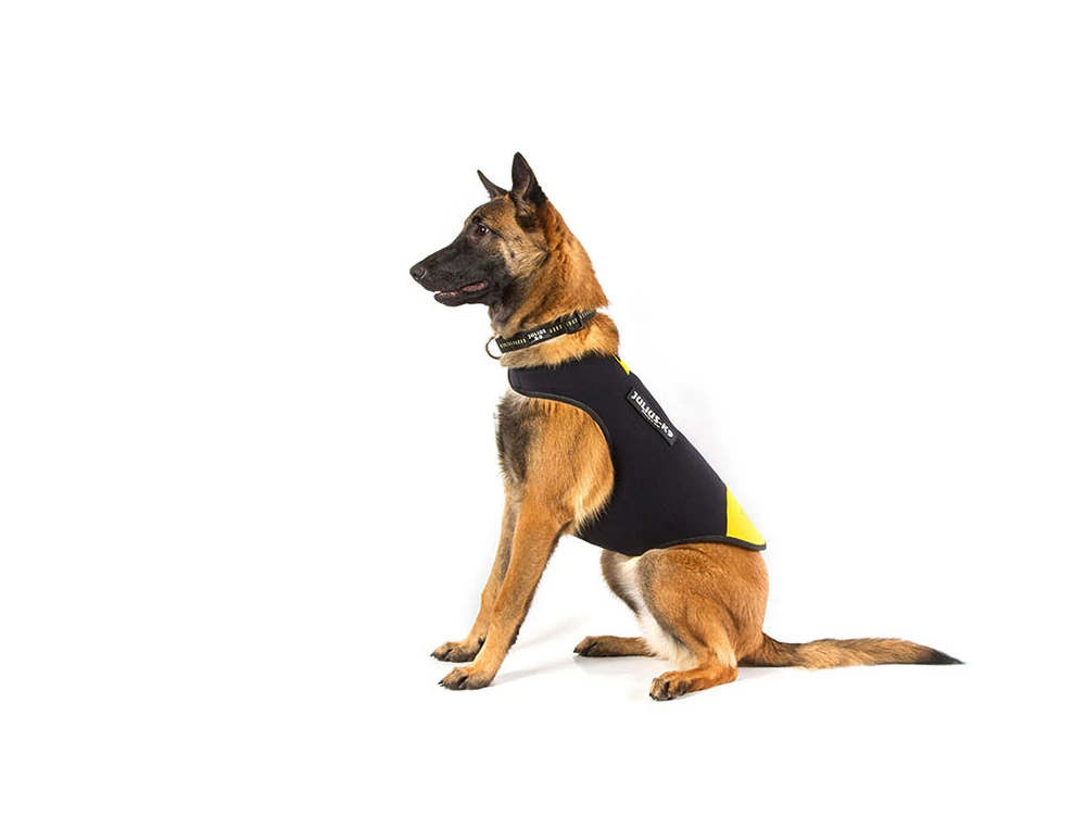 Julius K-9 IDC® Neopren Hundemantel 4 Julius K-9 IDC® Neopren Hundemantel – Bild 4