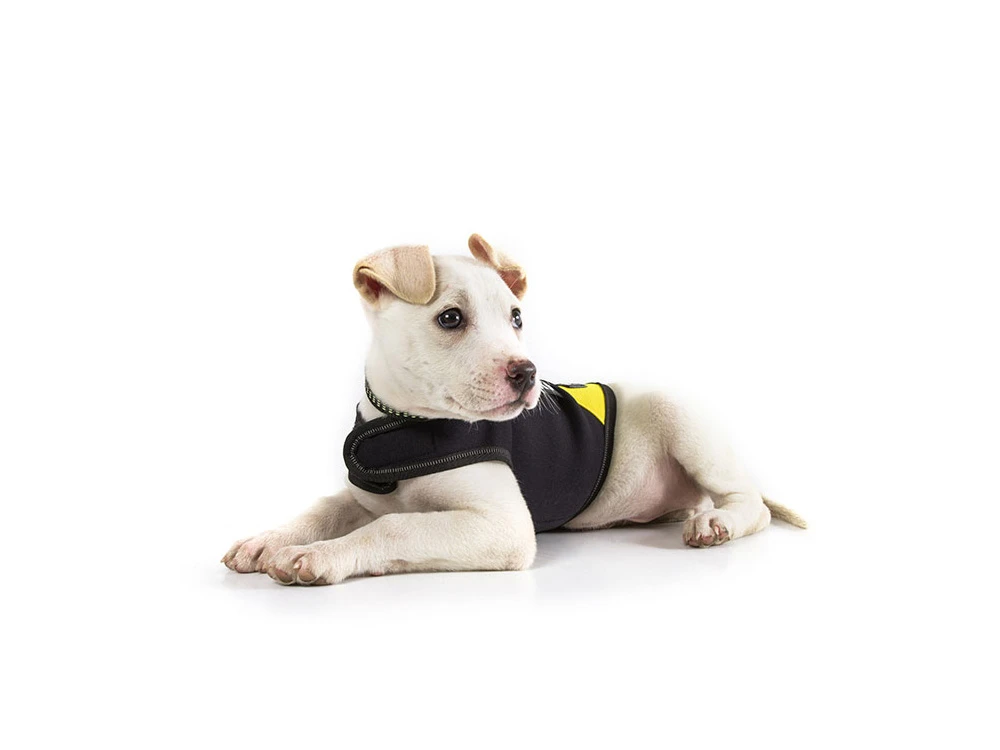 Julius K-9 IDC® Neopren Hundemantel 5 Julius K-9 IDC® Neopren Hundemantel – Bild 5