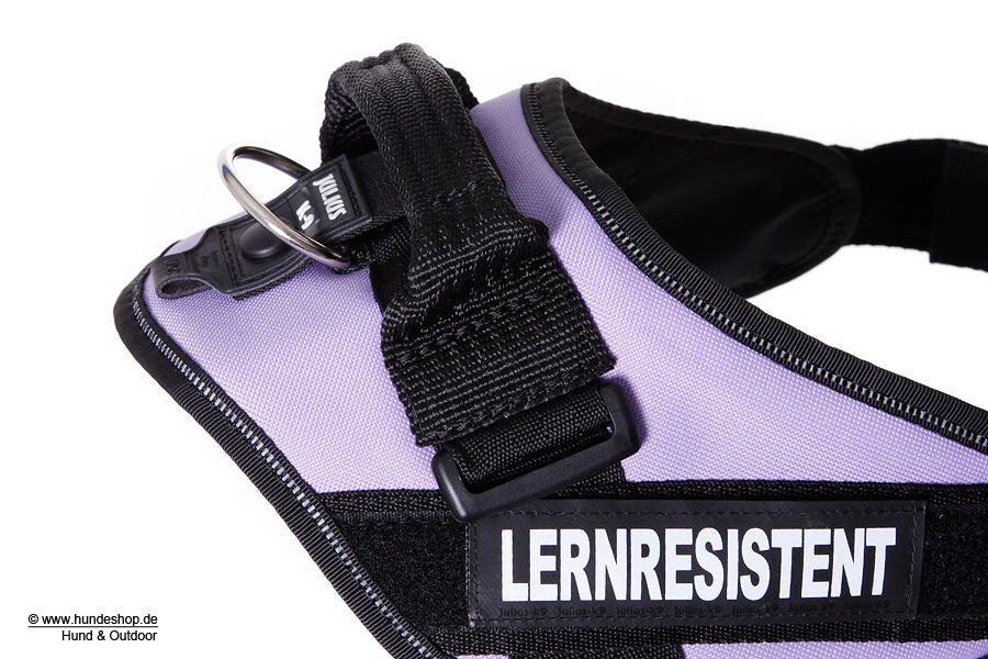 Julius K9 IDC Power Hundegeschirr Lila 2 Julius K9 IDC Power Hundegeschirr Lila – Bild 2