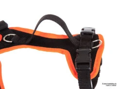 Grossenbacher Hundegeschirr Puppy Vario -Hundebedarf 223604 Product