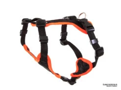 Grossenbacher Hundegeschirr Puppy Vario -Hundebedarf 223605 Product