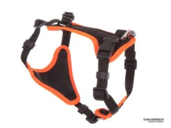 Grossenbacher Hundegeschirr Puppy Vario -Hundebedarf 223606 Product