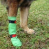 Hunde Latex-Schutzstrumpf Dog Gusti®