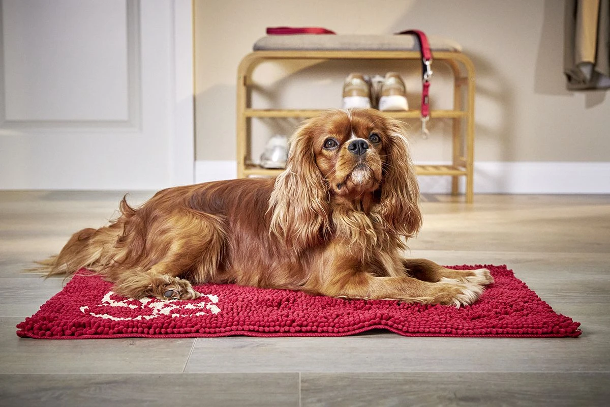 Cleankeeper Doormat Rot 2 Cleankeeper Doormat Rot – Bild 2