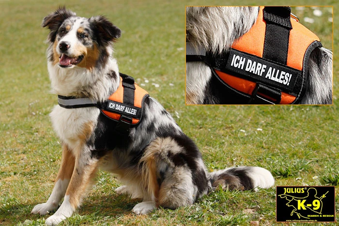 Julius K9 Power Hundegeschirr Schwarz 2 Julius K9 Power Hundegeschirr Schwarz – Bild 2