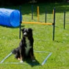 Dog Agility Set Profi