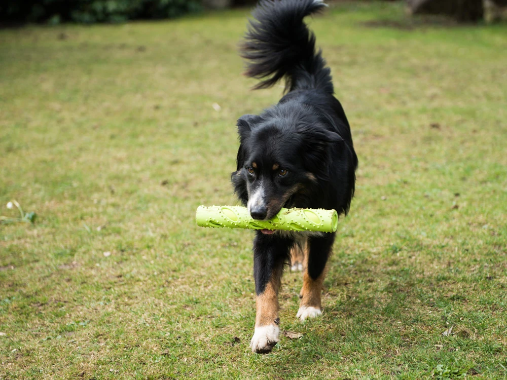 Magic Dummy 3 Magic Dummy – Bild 3