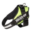 Julius K9 IDC Power Hundegeschirr Neon-grün